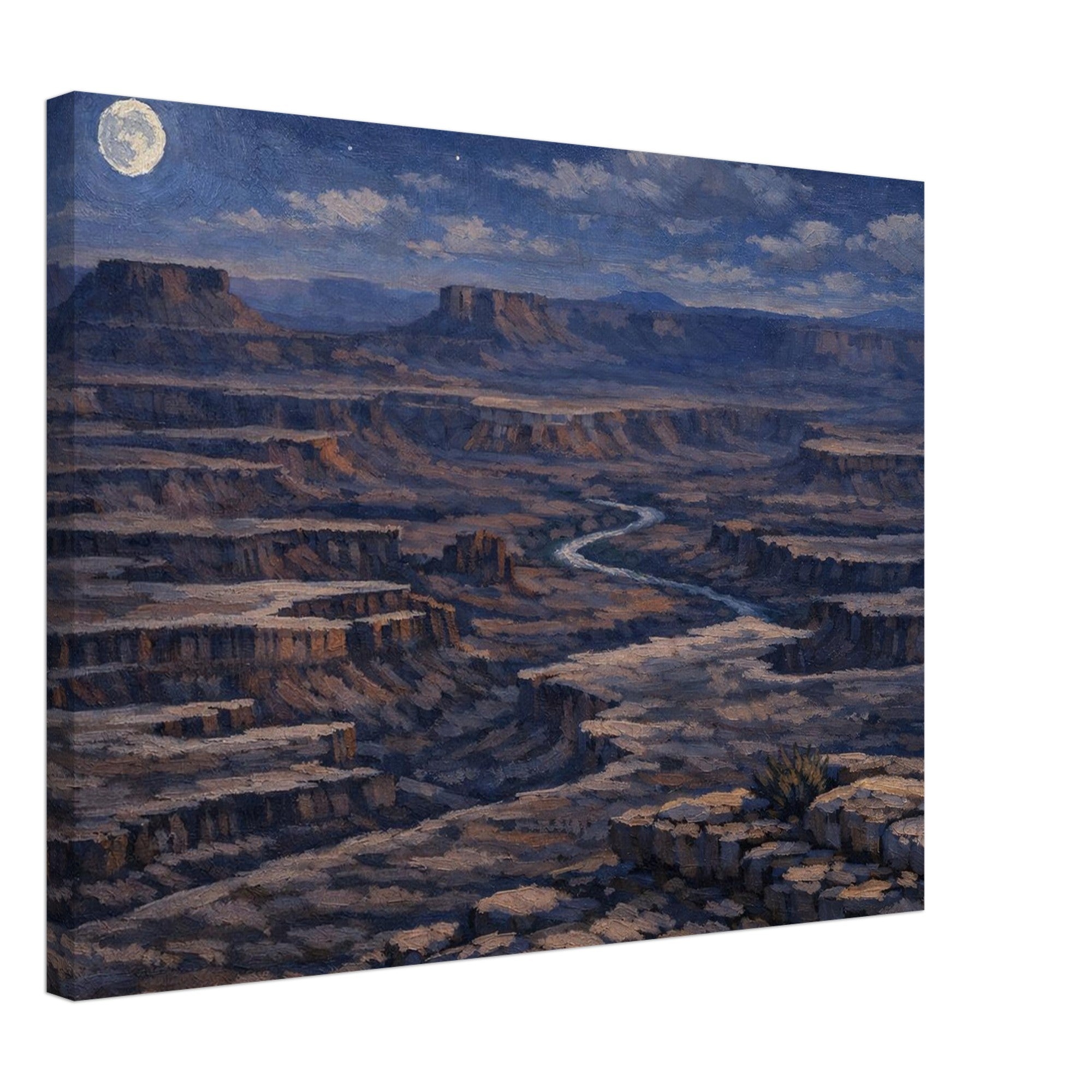 Canyonlands National Park at night canvas print displayed on a clean white background, showing the full artwork, gallery‑wrapped edges, and professional product presentation