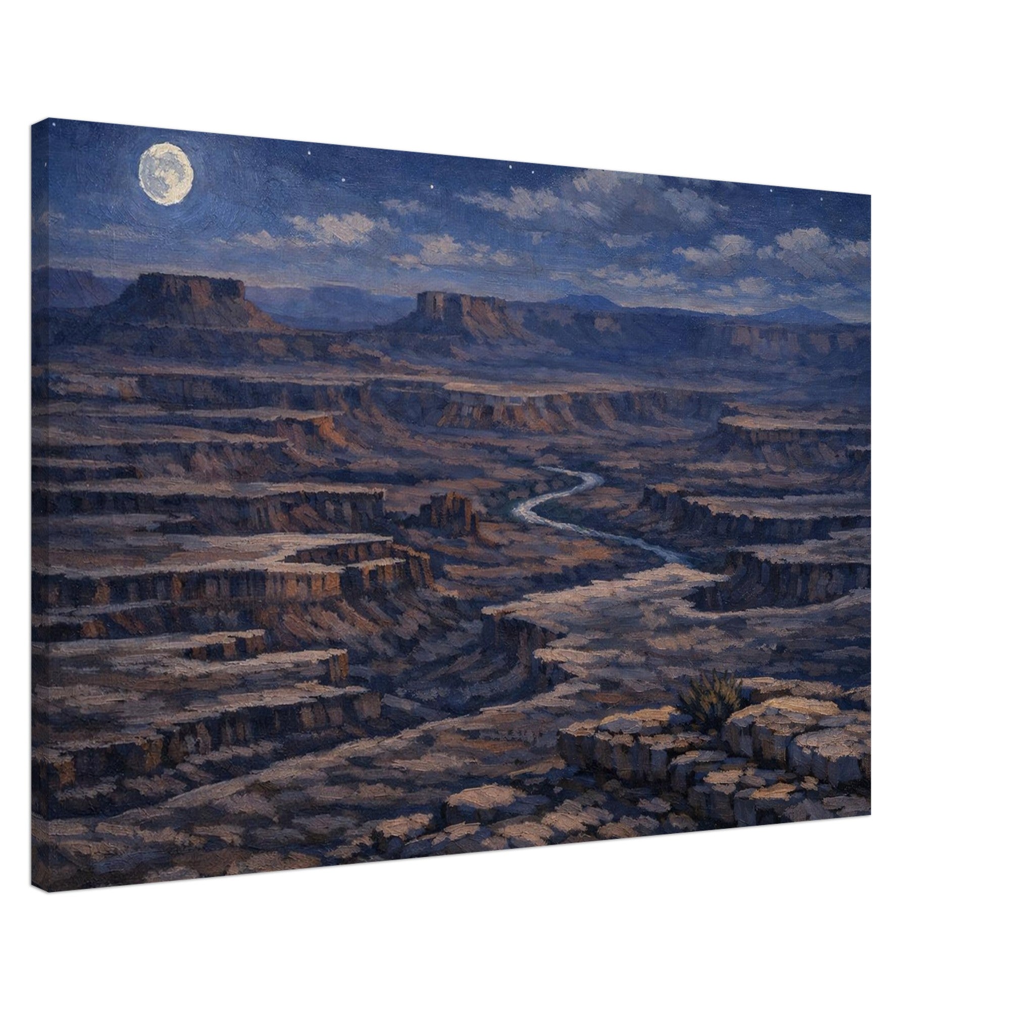 Canyonlands National Park nighttime canvas print displayed on a clean white background, showing the full artwork, gallery‑wrapped edges, and professional product presentation.