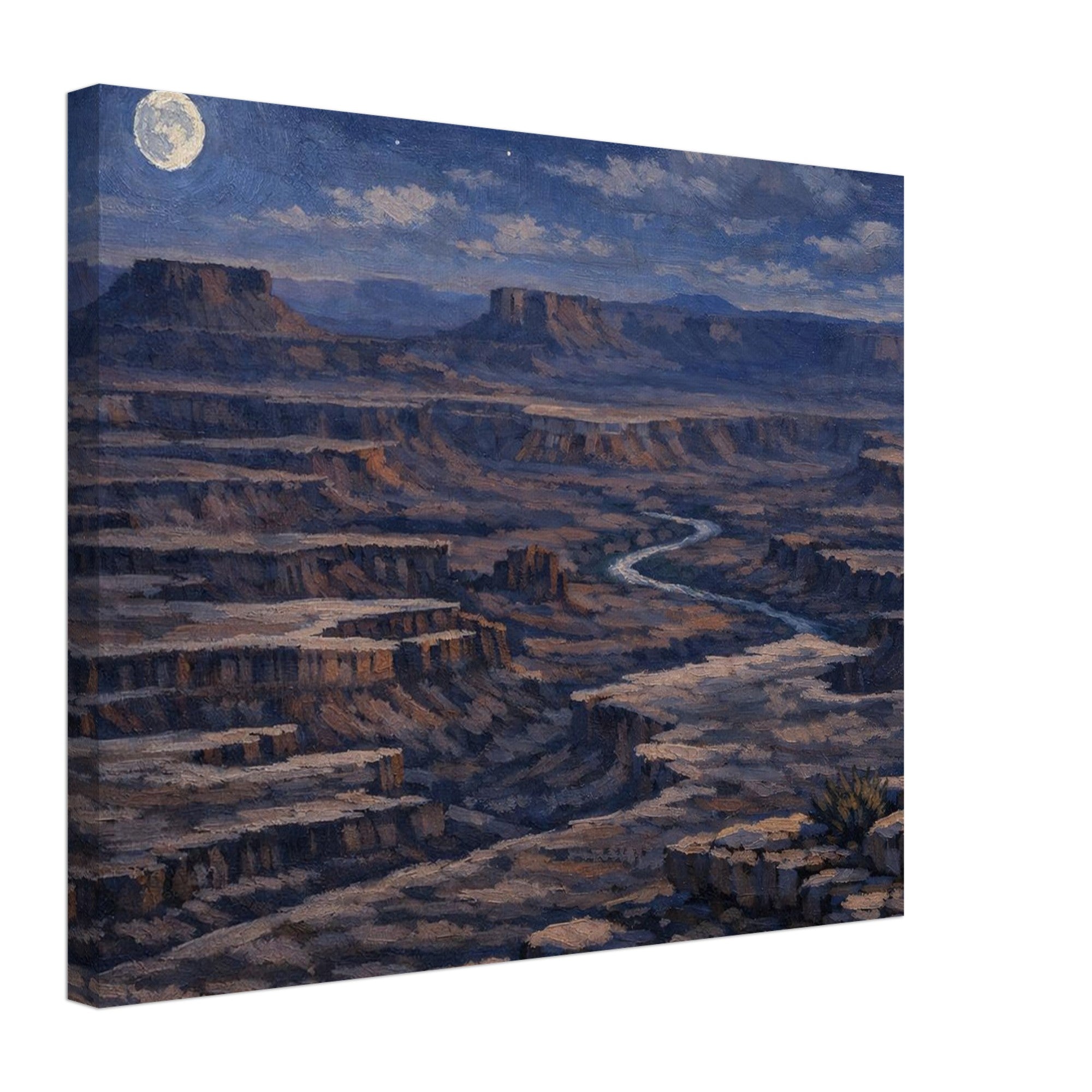 Canyonlands National Park night canvas print displayed on a clean white background, showing the full artwork, gallery‑wrapped edges, and professional product presentation.